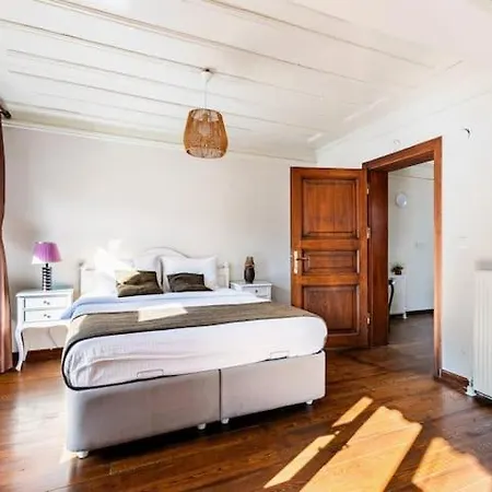 Historical Greco-ottoman Pavilion Near Tram In Fatih Apartment *