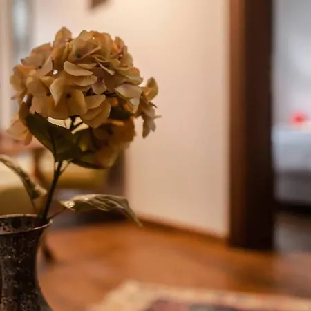 Apartment Historical Greco-ottoman Pavilion Near Tram In Fatih *